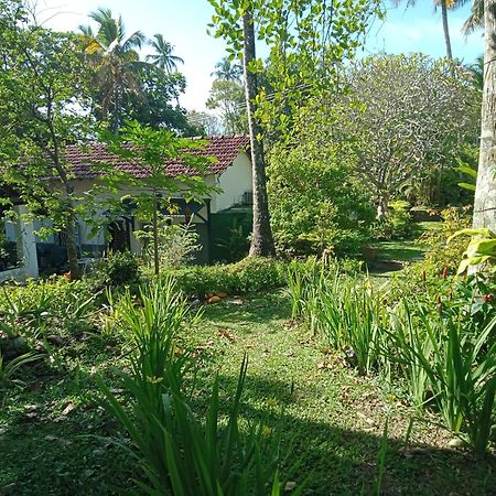 Hotel Freedom192 Weligama Exteriér fotografie