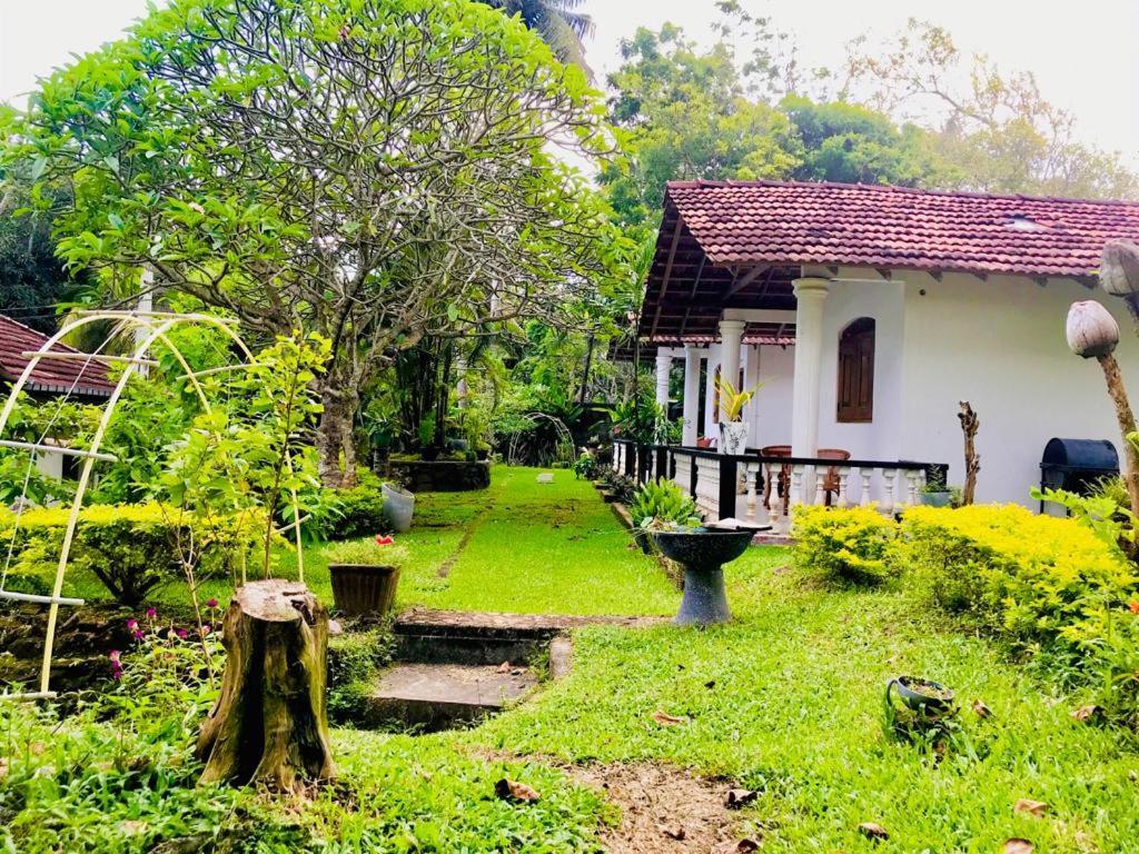 Hotel Freedom192 Weligama Exteriér fotografie