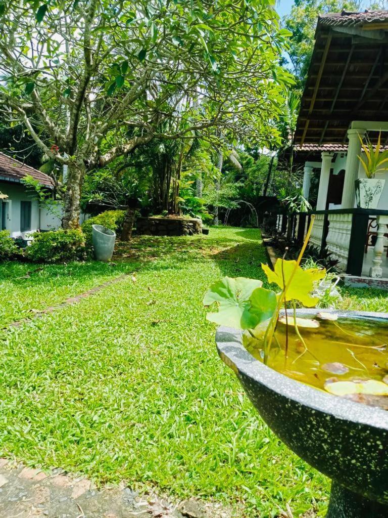 Hotel Freedom192 Weligama Exteriér fotografie