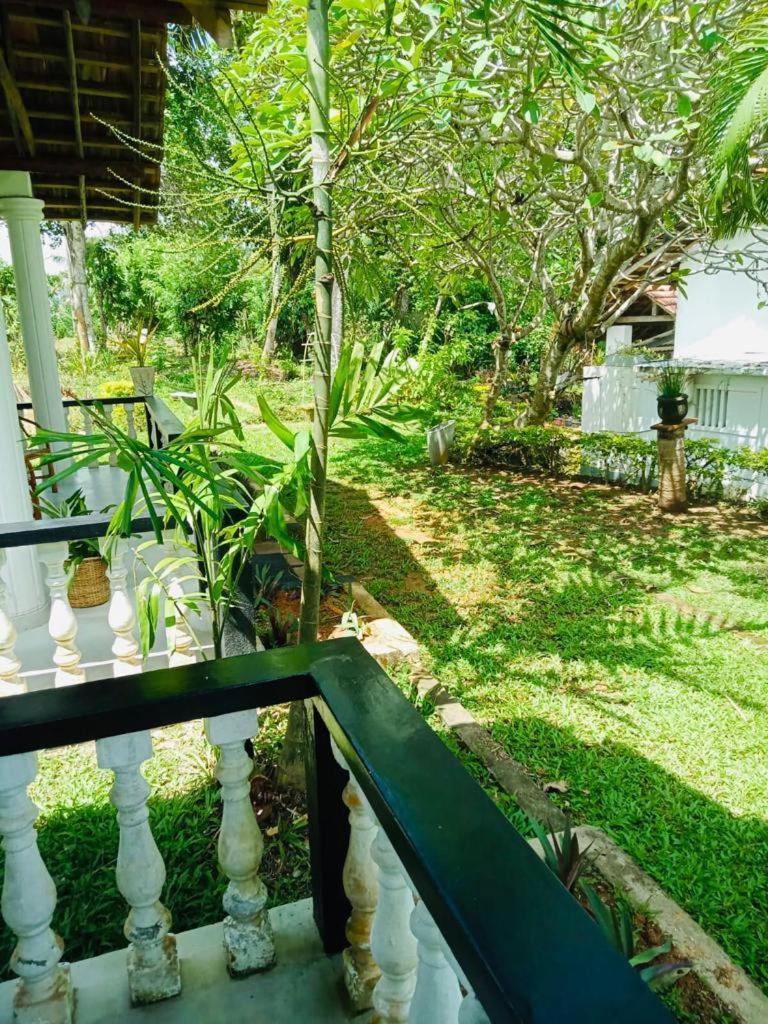 Hotel Freedom192 Weligama Exteriér fotografie