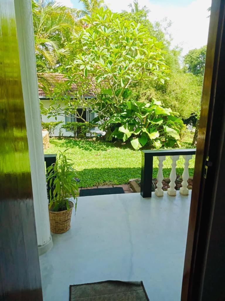 Hotel Freedom192 Weligama Exteriér fotografie