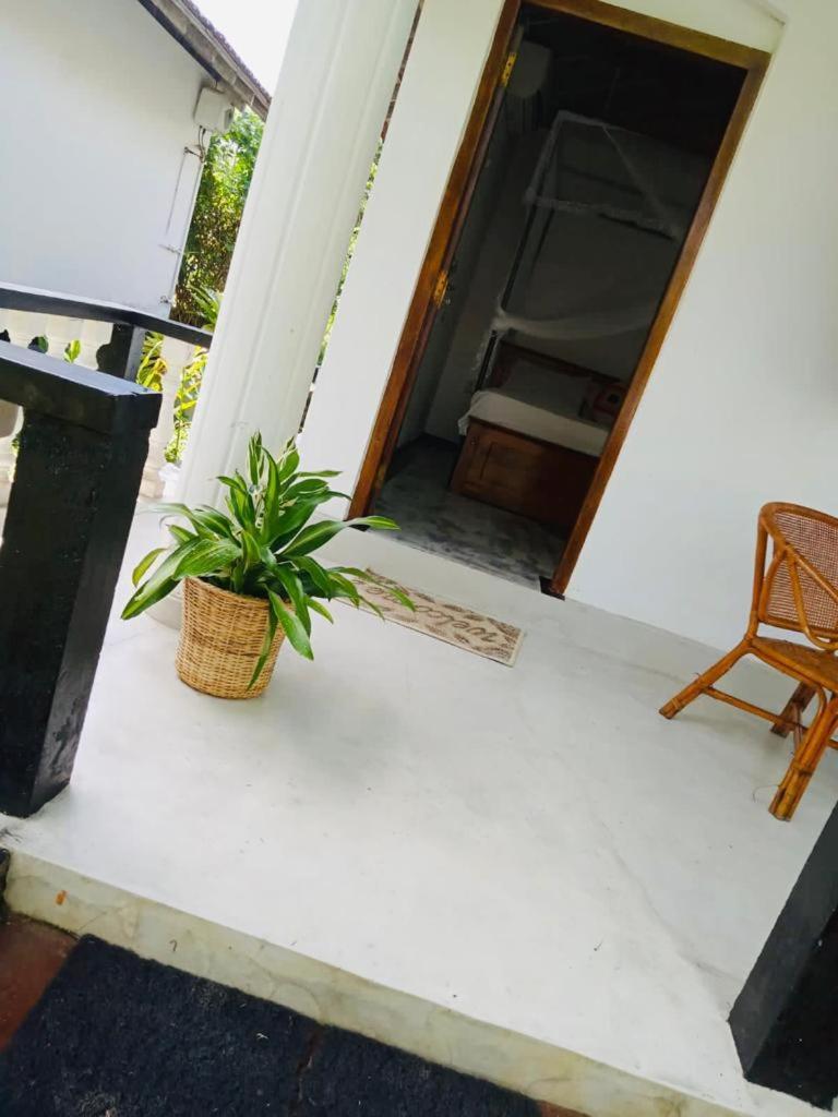 Hotel Freedom192 Weligama Exteriér fotografie