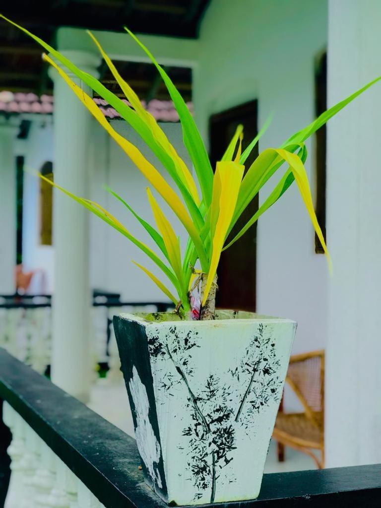 Hotel Freedom192 Weligama Pokoj fotografie