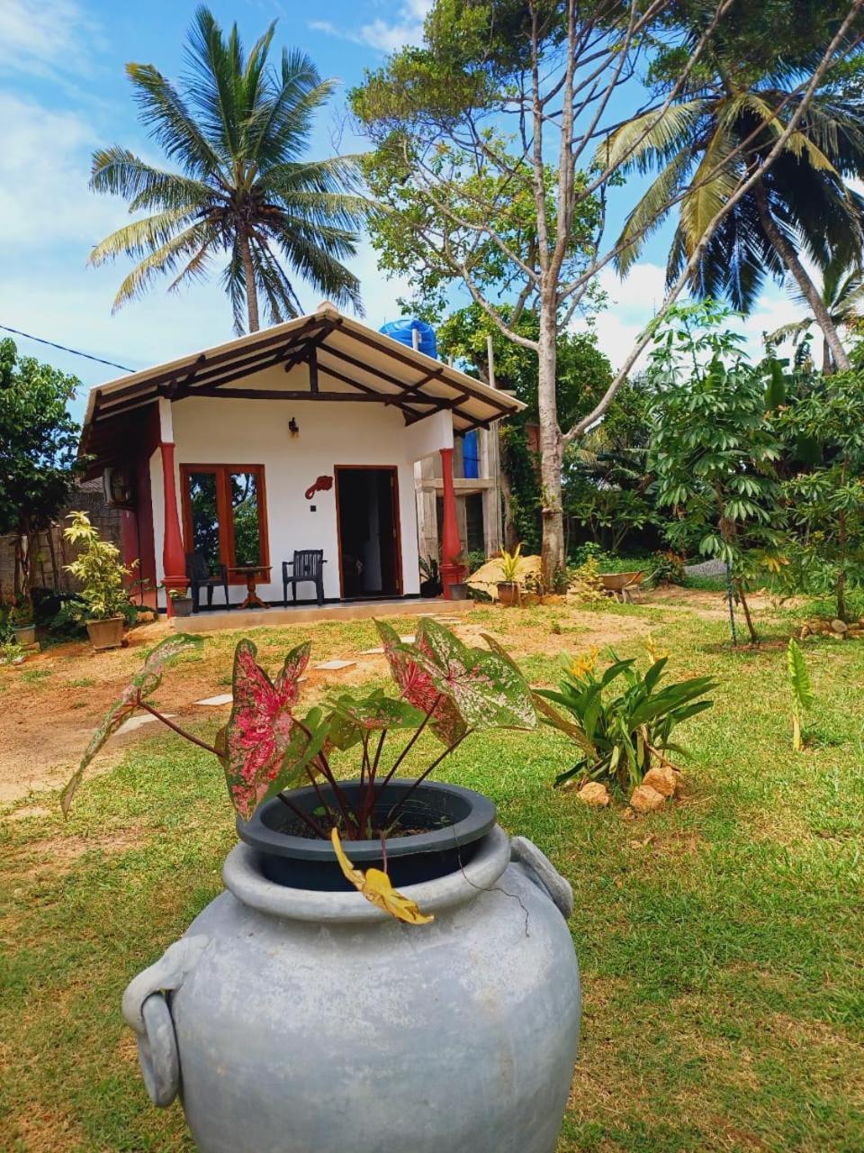 Hotel Freedom192 Weligama Exteriér fotografie