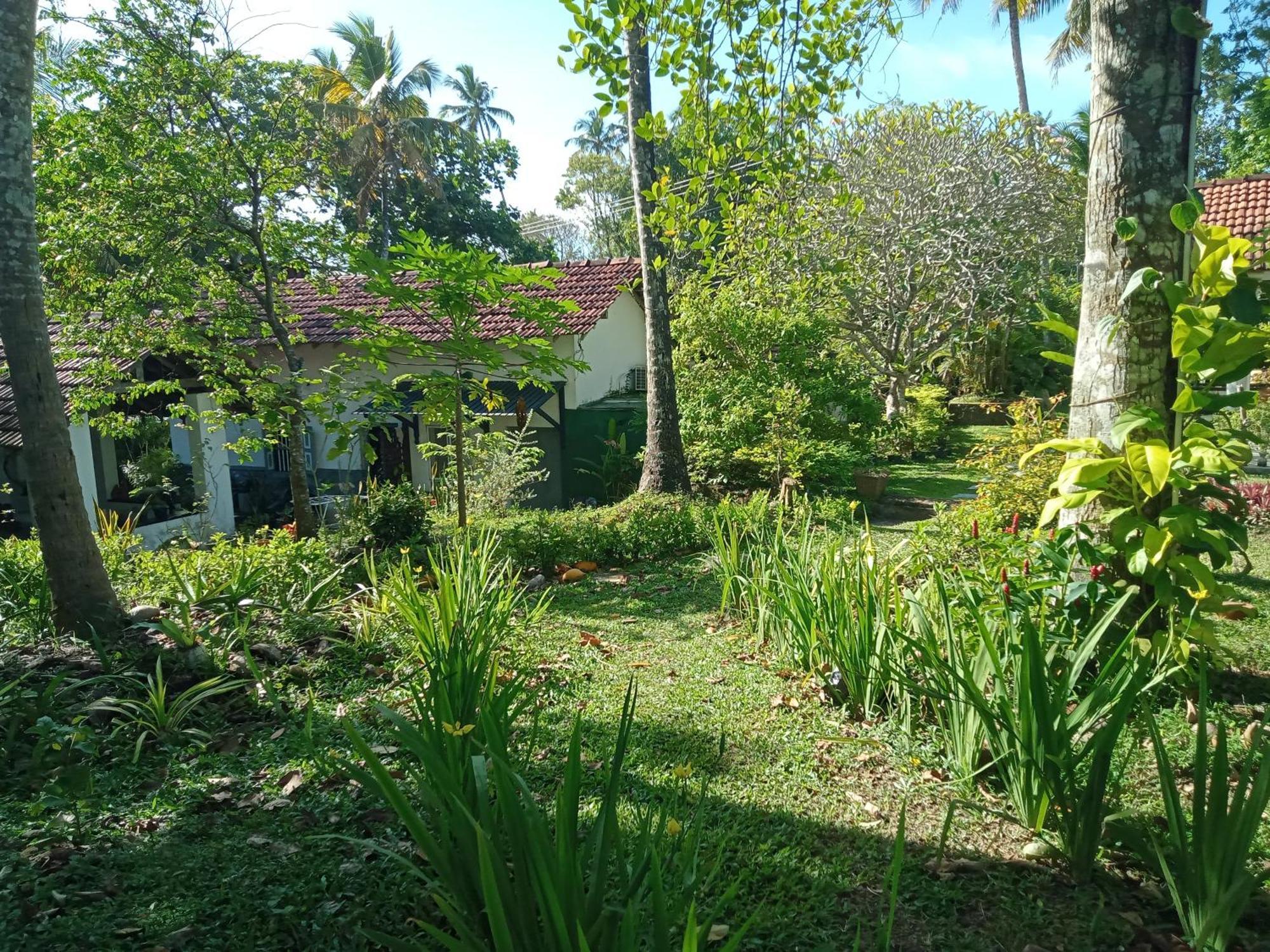 Hotel Freedom192 Weligama Exteriér fotografie