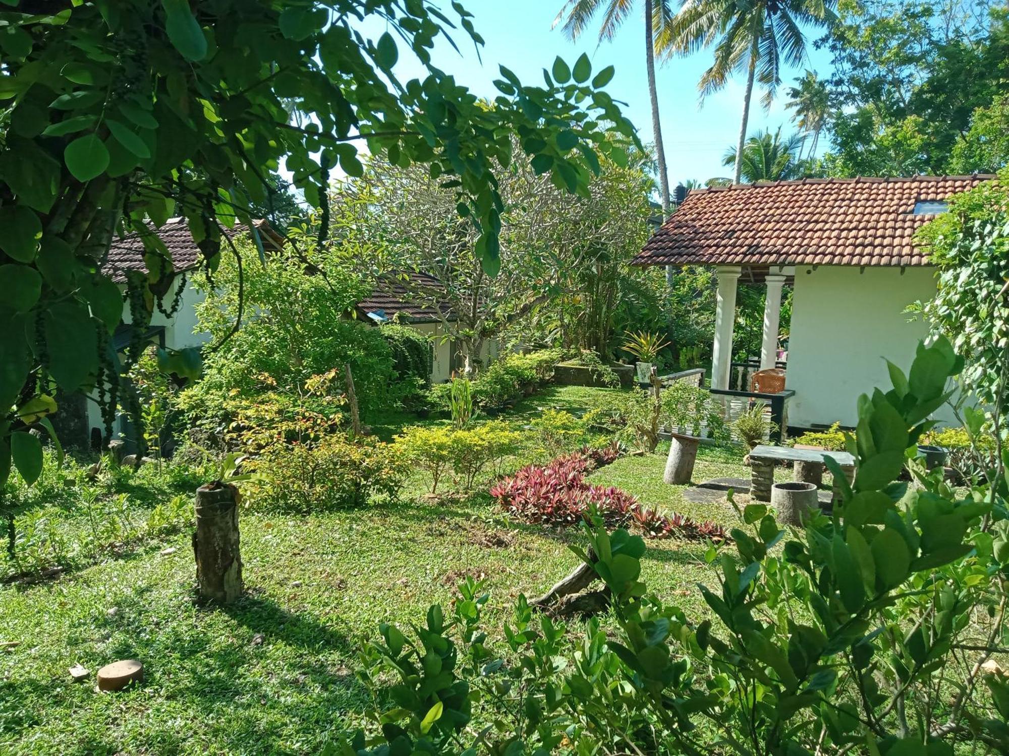 Hotel Freedom192 Weligama Exteriér fotografie