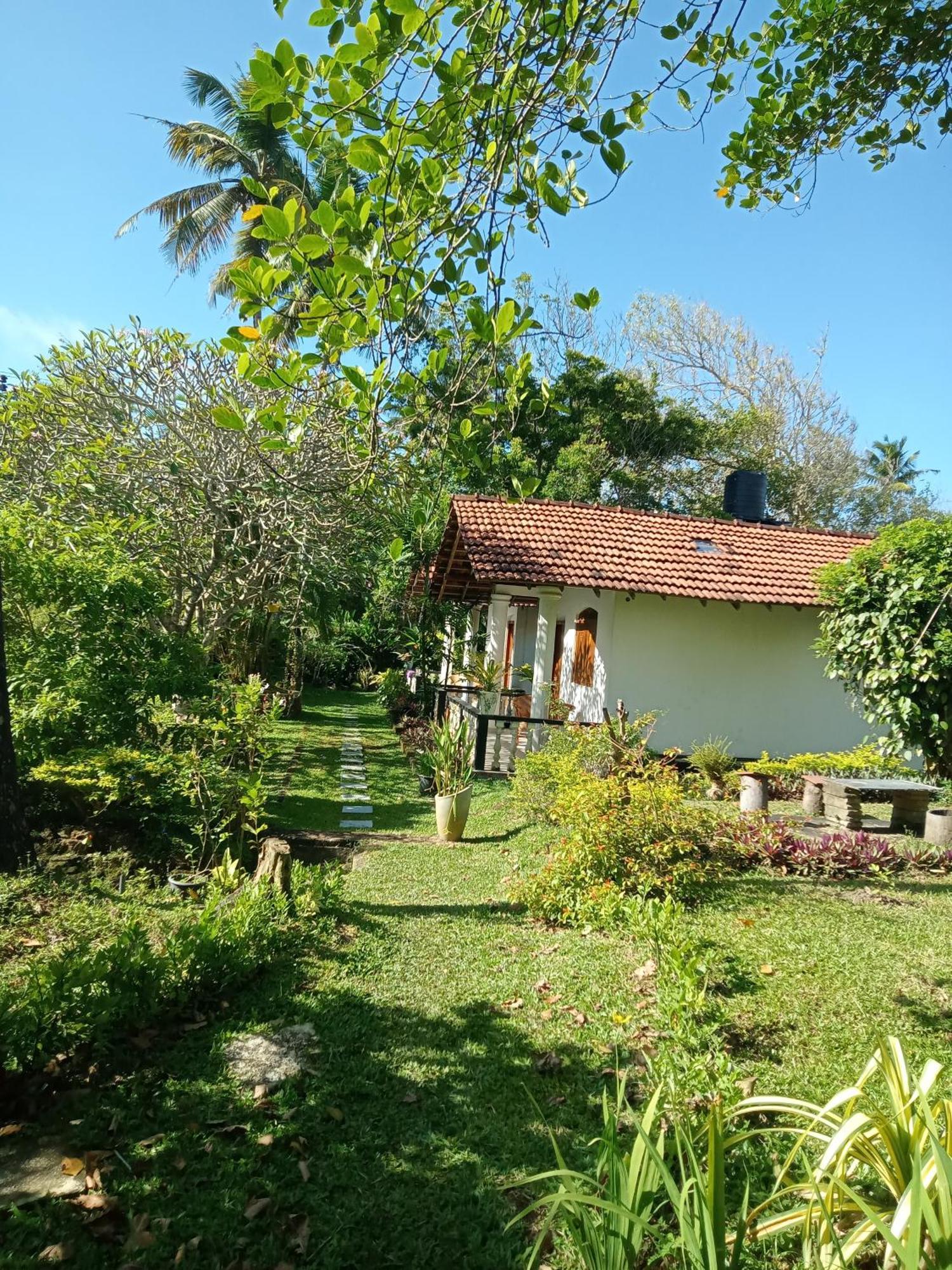 Hotel Freedom192 Weligama Exteriér fotografie